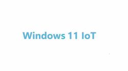 Advantech Win 11 IoT Ent Commercial 1 license[s] Electronic Software Download [ESD] English 2 year[s] 24 month[s] 