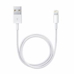 Apple Lightning to USB Cable [0.5 m] 