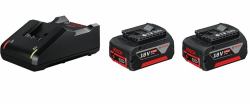 Bosch 1 600 A01 9S0 cordless tool battery / charger Battery & charger set 