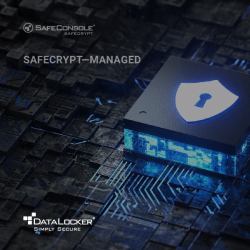 DataLocker SafeCrypt Managed by SafeConsole Renewal 1 Year 