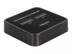 DeLOCK M.2 Docking Station for 2 x M.2 NVMe PCIe SSD with Clone function 
