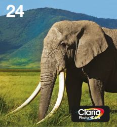 Epson 24 Elephant Claria Photo HD Multipack 6-colours EasyMail Ink 