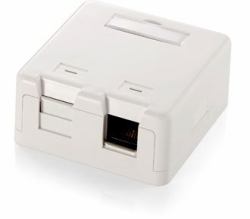 Equip 2-Port Keystone Jack Surface Mount Box 