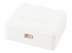 Equip 2-Port Keystone Jack Surface Mount Box 