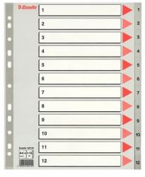 Esselte 100125 tab index Numeric tab index Polypropylene [PP] Grey 