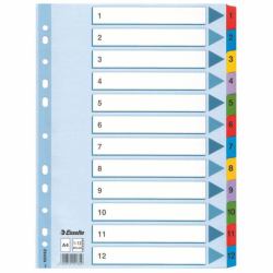 Esselte Index 1-12 Cardboard Mylar tabs A4 
