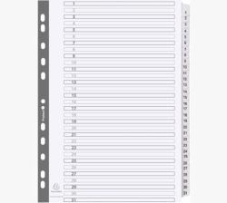 Exacompta MWD1-31Z divider Carton White 