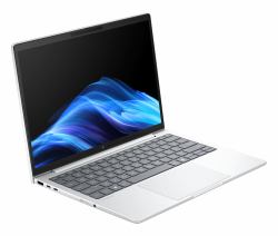 HP EliteBook 8 G1a AMD Ryzen™ AI 7 250 Laptop 33.8 cm [13.3"] WUXGA 32 GB LPDDR5x-SDRAM 1 TB SSD Wi-Fi 7 [802.11be] Windows 11 Pro AI PC Silver  - German version