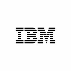 IBM D09NDLL software license/upgrade 1 license[s] 12 month[s] 