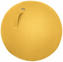 Leitz Ergo Cosy Active Sitting Ball 