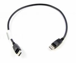 Lenovo 0.5m DisplayPort Black 