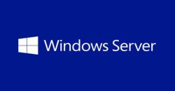 Microsoft Windows Server Datacenter Edition Open License 2 license[s] 