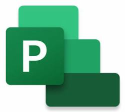 Microsoft Project Standard 2024 Project management Full 1 license[s] 