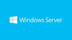 Microsoft Windows Server 2019 Datacenter 1 license[s] 
