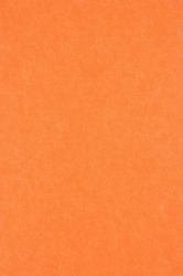 Middle Atlantic Focal Point TruTile TruTileTM Designs Acoustic Wall Tile in Carrot, Double Arc 