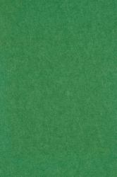 Middle Atlantic Focal Point TruTile TruTileTM Designs Acoustic Wall Tile in Emerald Green, Double Arc 
