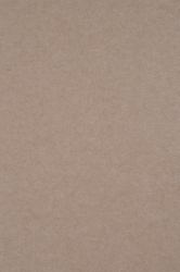 Middle Atlantic Focal Point TruTile TruTileTM Designs Acoustic Wall Tile in Hazelwood, Solid 