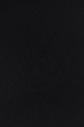 Middle Atlantic Focal Point TruTile TruTileTM Designs Acoustic Wall Tile in Pure Black, Solid 