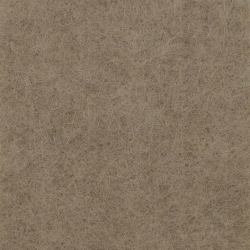 Middle Atlantic Products Focal Point TruTile Acoustic Wall Panel in Hazelwood, Wide Rule 