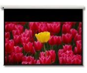 Optoma Panoview 16:9 106" projection screen 2.69 m [106"] 