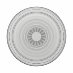 PopSockets PlantCore 
