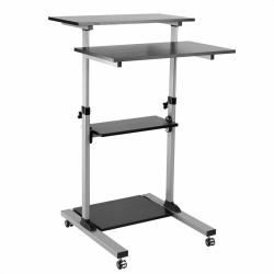 ROLINE 17.02.1547 All-in-One PC/workstation mount/stand 60 kg Aluminium, Black 