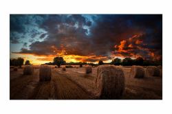 Samsung VM46B-U LCD Indoor 