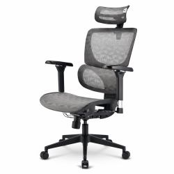 Sharkoon OfficePal C40M Mesh seat Meshed backrest 