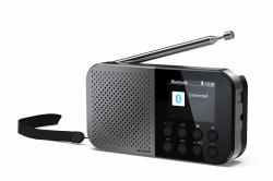 Sharp DR-P520 Personal Digital Grey 