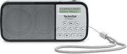 TechniSat RDR Portable Analog & digital Silver 