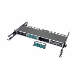 Tripp Lite N484-12LC 10GbE Pass-Through Cassette - [x12] LC Duplex 