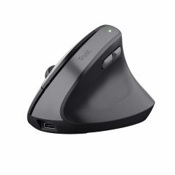 Trust TM-270 mouse Office Right-hand RF Wireless Optical 2400 DPI 