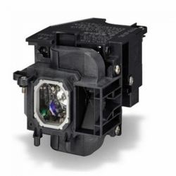 LampTek NP23LP / 100013284 projector lamp 270 W (Lamp for NEC NP-P451X Projector Lamp/NEC NP-P501XG Projector Lamp/NEC NP-P501X Projector Lamp/NEC P501X Projector Lamp/NEC NP-P451W Projector Lamp/N...
