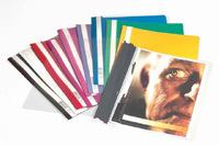 Durable CLEAR VIEW FOLDER 2570 A4 report cover Blue (Durable Clear View A4 Folder Blue [50])