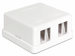 DeLOCK 86207 wire connector 2x Keystone White (Delock Keystone Surface Mounted Box -)