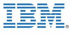 IBM 22R4894 software license/upgrade 