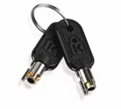 Lenovo 4Z10P40249 cable lock accessory Key Grey (KENSINGTON MICROSAVER 2.0 MASTERKEY)
