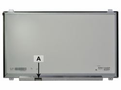 B43248879
