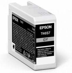 Epson Singlepack Gray T46S7 UltraChrome Pro 10 ink 25ml (SINGLE GRAY T46S7 INK 25ML)