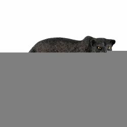 schleich WILD LIFE Black panther (Schleich Wild Life - Sort panter)
