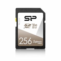 B49102176