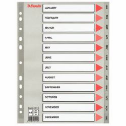Esselte Index Jan-Dec [GB] PP A4 Grey (Esselte register PP A4 Jan-Dec [GB] gr)