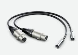 Blackmagic Design HYPERD/AXLRMINI2 audio cable 0.495 m mini XLR [3-pin] XLR [3-pin] Black 
