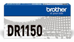 B51017424