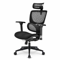 Sharkoon OfficePal C40 Padded seat Meshed backrest (Sharkoon OfficePal C40 Polstret sÃ¦de R)