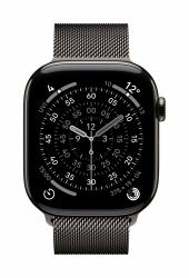 Apple MGJ74ZM/A smart wearable accessory Band Slate colour Stainless steel (*46MM SLATE MILANESE?LOOP - M/L)