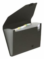 Snopake Expanding Organiser (Snopake GRS Organiser 13 part A4 Black- 1 Organiser)