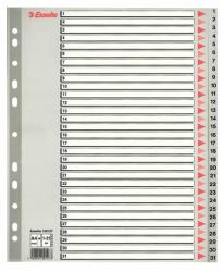 Esselte 100127 tab index Numeric tab index Polypropylene [PP] Grey (Esselte register PP A4 maxi 1-31 grÃ¥)