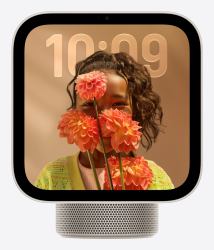 Apple HomeView (APPLE HOMEVIEW - STARLIGHT)