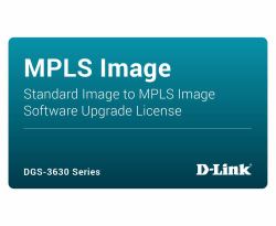 D-Link DGS-3630-28TC-SM-LIC networking software Switch / Router 1 license[s] 
